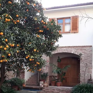 L'arancio Antico Iglesias